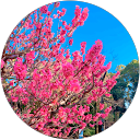 いーゆー profile picture