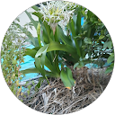 とら profile picture