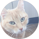 はな profile picture