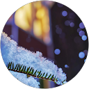 しょーみー profile picture