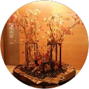 mitakatti mitaka profile picture