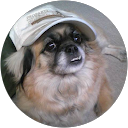 わんころぱうぱう profile picture