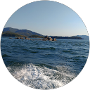 ochi miki (ochi miki) profile picture