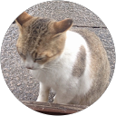 ｙｏｕ ｃｏ profile picture