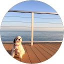 Kei profile picture