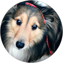 りんりん profile picture